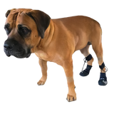 The Original ToesUP Anti-Knuckling Aid™