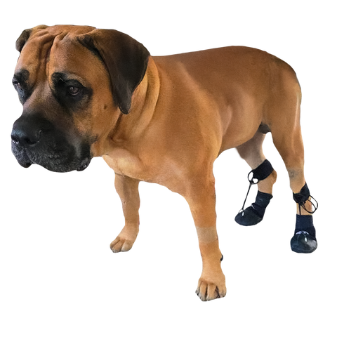 The Original ToesUP Anti-Knuckling Aid™