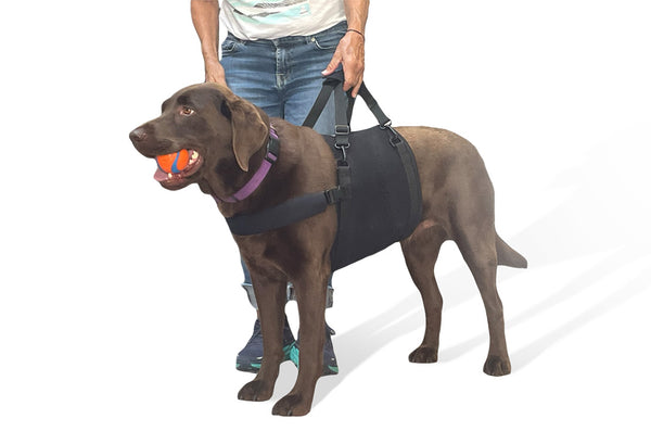 AirBelly Lightweight Sling Walkabout Harnesses LLC
