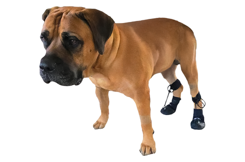 The Original ToesUP Anti-Knuckling Aid™