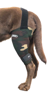 The camo Knee brace by Walkabout helps with arthritis to reduce dog knee pain.