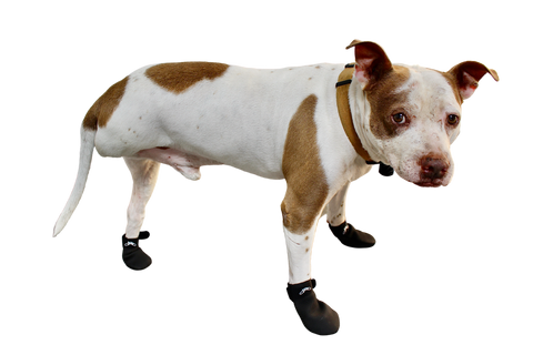 JAWZ Traction Booties