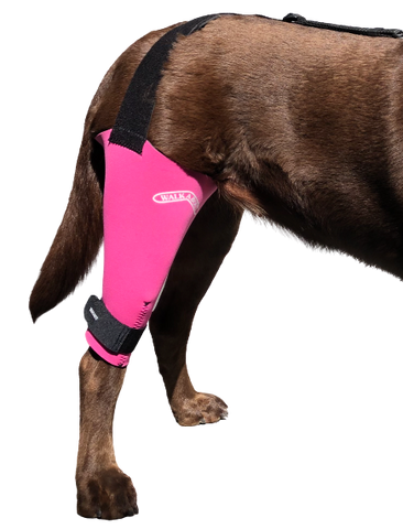 The Walkabout Knee Brace helps improve a dogs mobility without surgery. Available in Pink, Black, or Camo.