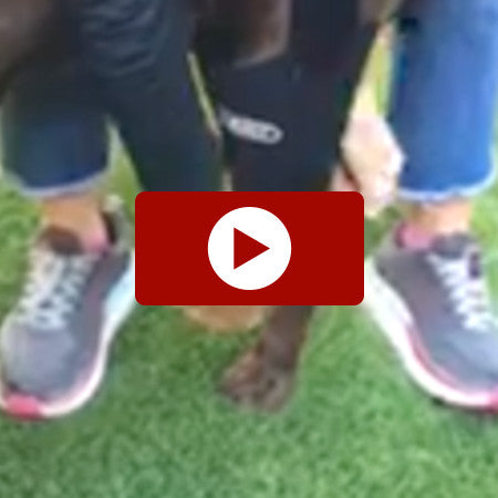 http://www.youtube.com/watch?v=OZxIyY-JmZc?rel=0&autoplay=1
