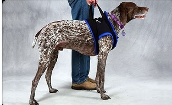 Walkabout Front End Harness Walkabout Harnesses LLC