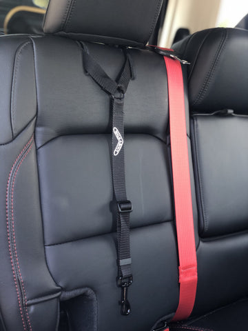 The Buddy Belt (pet safety seatbelt)