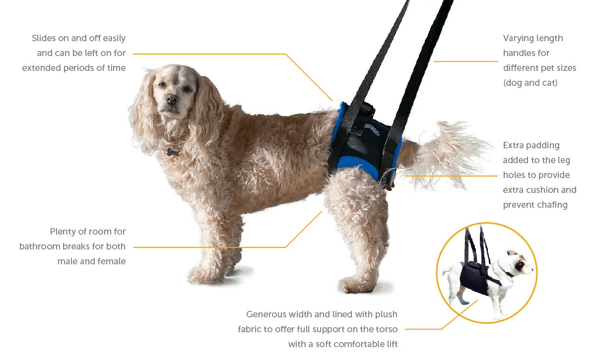 How to find the best support harness for your dog