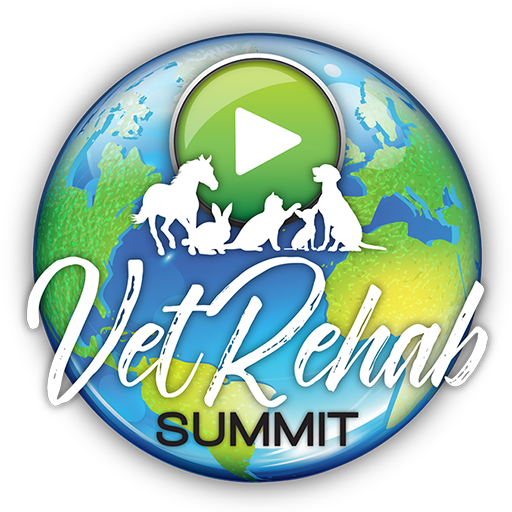 Walkabout Harnesses — Vet Rehab Summit 2025