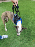 Airlift One Amputee Harness - Front End