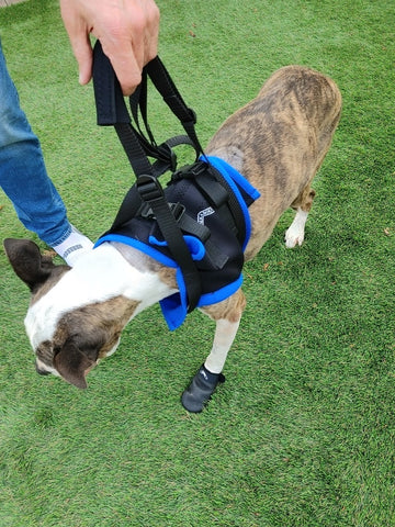 Airlift One Amputee Harness - Front End