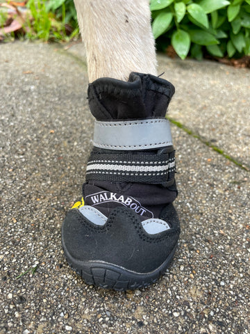Walkabout dog boots cheap