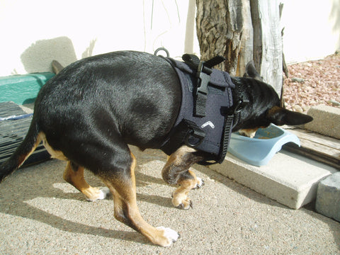 Walkabout Front End Harness