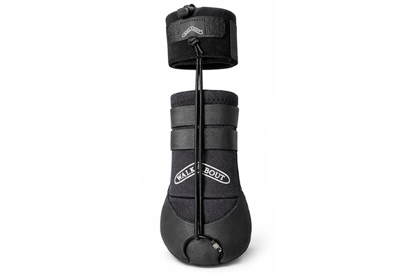 The ToesUP Walkaboot helps stop dragging paws – Walkabout Harnesses, LLC
