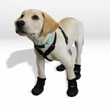 Walkaboot™ Sport Boots – Walkabout Harnesses, LLC