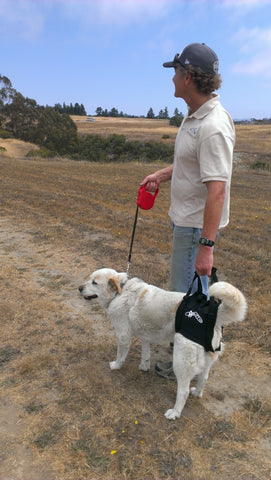 The Walkabout Amputee Harness - Back End