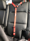 The Buddy Belt (pet safety seatbelt)