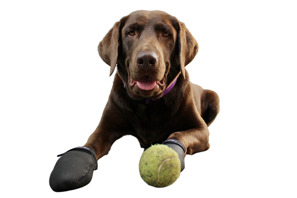 JAWZ Traction Booties – Walkabout Harnesses, LLC