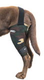 The camo Knee brace by Walkabout helps with arthritis to reduce dog knee pain.