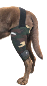 Walkabout canine knee brace hotsell
