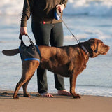 Provide leg support with the walkabout back end dog harness, designed in Santa Cruz, California.