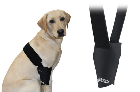 Walkabout elbow brace helps front leg stability on dogs.
