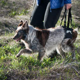 Help improve your dogs mobility with a harness with a handle for hind legs.