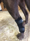 Hock Support Brace