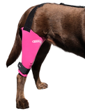 The Walkabout Knee Brace helps improve a dogs mobility without surgery. Available in Pink, Black, or Camo.