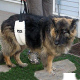hoist about belly harness on german shepherd dog