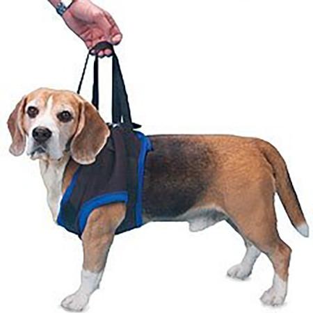 Walkabout front end harness on a beagle