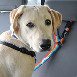 The Buddy Belt (pet safety seatbelt)