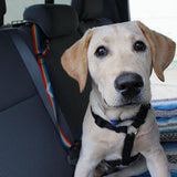 The Buddy Belt (pet safety seatbelt)