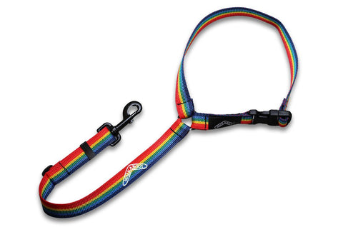 Dog harness for mobility and stability  Walkabout Harnesses – Walkabout  Harnesses, LLC