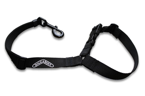 The Buddy Belt (pet safety seatbelt)