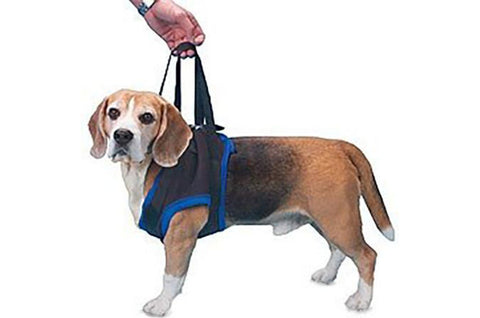 Airlift One Amputee Harness - Front End
