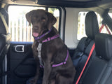 The Buddy Belt (pet safety seatbelt)