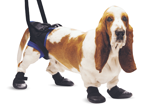 The Original ToesUP Anti-Knuckling Aid™